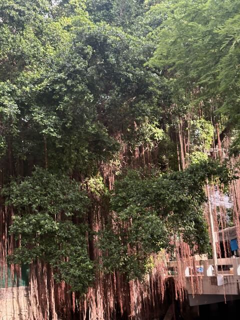 Hua Lamphong and Way Back